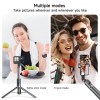 Telesin Selfiepinne Tripod - 245-1300mm till GoPro Hero11/Mini/10/9/8 Black/MAX & Mobil